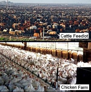 Efficient food production Efficiency_img