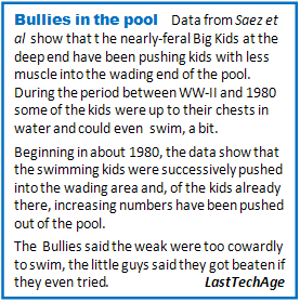 Bullies In The Pool